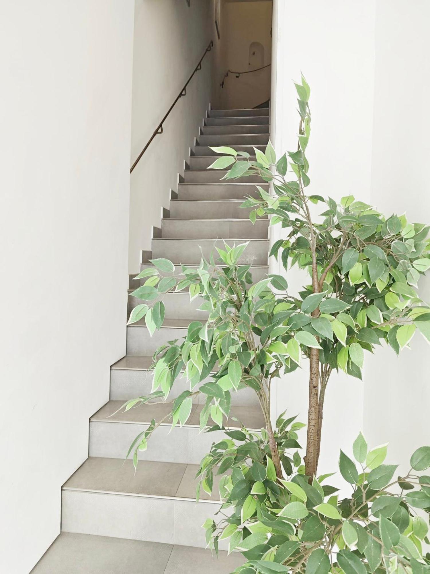 Cassis Loc - Chambre Meublee 外观 照片